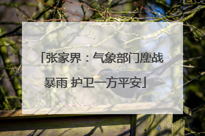 张家界：气象部门鏖战暴雨 护卫一方平安