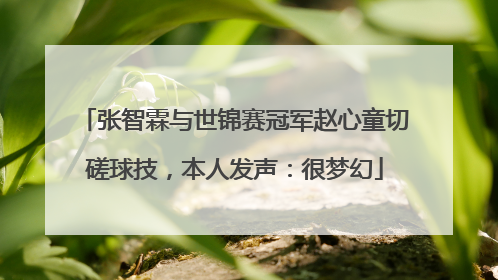 张智霖与世锦赛冠军赵心童切磋球技，本人发声：很梦幻