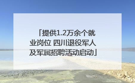 提供1.2万余个就业岗位 四川退役军人及军属招聘活动启动
