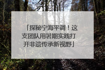 探秘宁海平调！这支团队用暑期实践打开非遗传承新视野