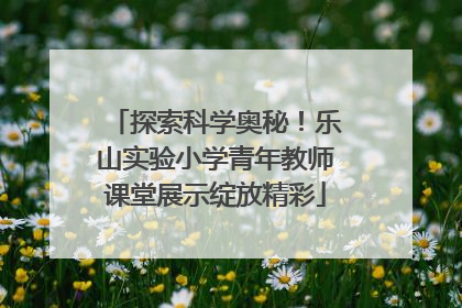 探索科学奥秘！乐山实验小学青年教师课堂展示绽放精彩