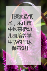 探索造纸术，乐山市中区茅桥幼儿园培养学生节约与环保意识