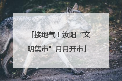 接地气！汝阳“文明集市”月月开市