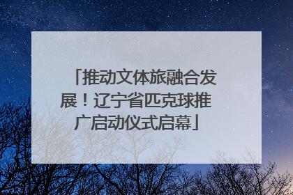 推动文体旅融合发展！辽宁省匹克球推广启动仪式启幕