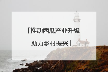 推动西瓜产业升级 助力乡村振兴