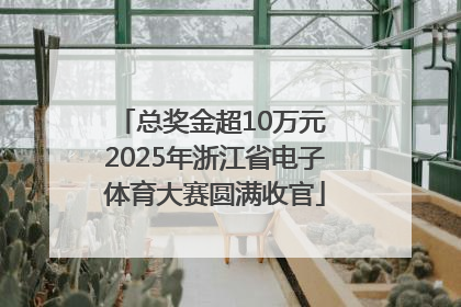 总奖金超10万元 2025年浙江省电子体育大赛圆满收官