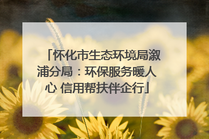 怀化市生态环境局溆浦分局：环保服务暖人心 信用帮扶伴企行