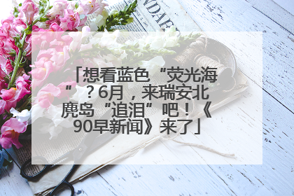 想看蓝色“荧光海”？6月，来瑞安北麂岛“追泪”吧！《90早新闻》来了
