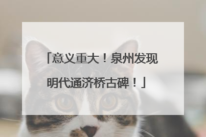意义重大！泉州发现明代通济桥古碑！