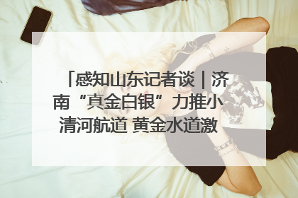 感知山东记者谈｜济南“真金白银”力推小清河航道 黄金水道激活区域经济新动能