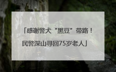 感谢警犬“黑豆”带路！民警深山寻回75岁老人