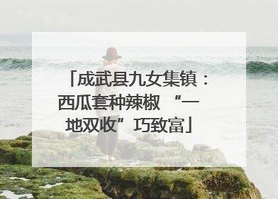 成武县九女集镇：西瓜套种辣椒 “一地双收”巧致富