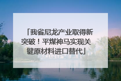 我省尼龙产业取得新突破！平煤神马实现关键原材料进口替代