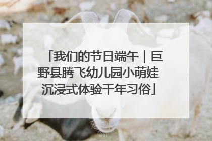 我们的节日端午｜巨野县腾飞幼儿园小萌娃沉浸式体验千年习俗