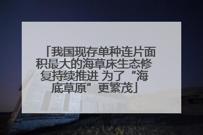 我国现存单种连片面积最大的海草床生态修复持续推进 为了“海底草原”更繁茂