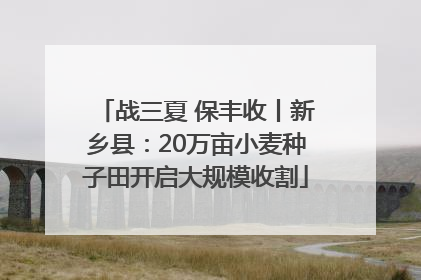 战三夏 保丰收丨新乡县：20万亩小麦种子田开启大规模收割