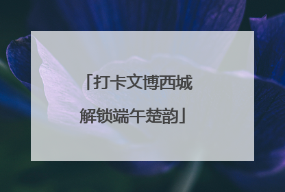 打卡文博西城 解锁端午楚韵