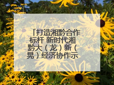 打造湘黔合作标杆 新时代湘黔大（龙）新（晃）经济协作示范园建设签约