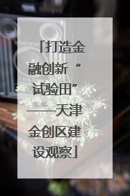 打造金融创新“试验田”——天津金创区建设观察