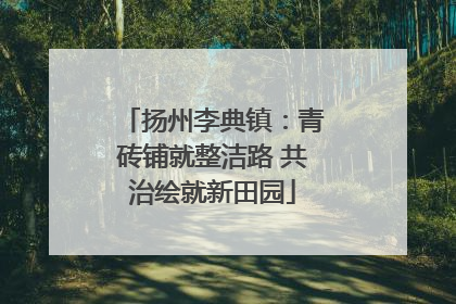 扬州李典镇：青砖铺就整洁路 共治绘就新田园
