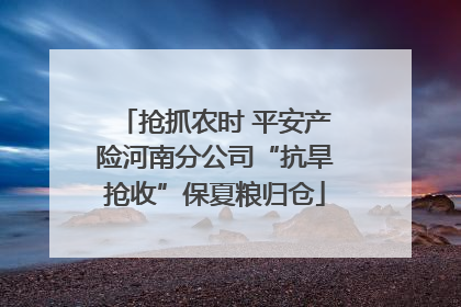 抢抓农时 平安产险河南分公司“抗旱抢收”保夏粮归仓