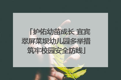 护佑幼苗成长 宜宾翠屏菜坝幼儿园多举措筑牢校园安全防线