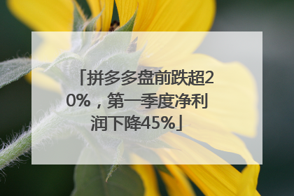 拼多多盘前跌超20%，第一季度净利润下降45%