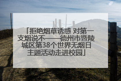 拒绝烟草诱惑 对第一支烟说不——德州市暨陵城区第38个世界无烟日主题活动走进校园