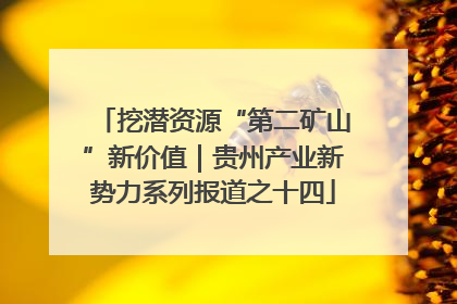 挖潜资源“第二矿山”新价值｜贵州产业新势力系列报道之十四