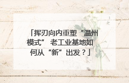 挥刃向内重塑“温州模式” 老工业基地如何从“新”出发？