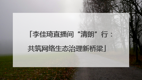 李佳琦直播间“清朗”行：共筑网络生态治理新桥梁