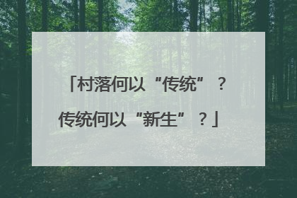 村落何以“传统”？传统何以“新生”？