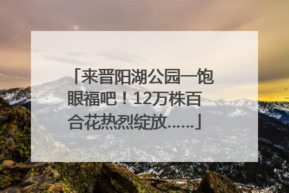 来晋阳湖公园一饱眼福吧！12万株百合花热烈绽放……