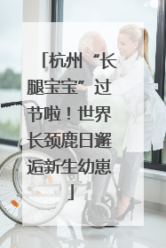 杭州“长腿宝宝”过节啦！世界长颈鹿日邂逅新生幼崽
