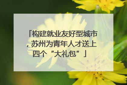 构建就业友好型城市，苏州为青年人才送上四个“大礼包”