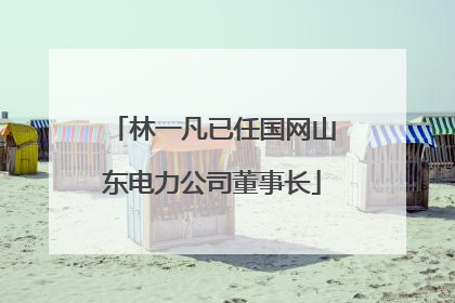 林一凡已任国网山东电力公司董事长