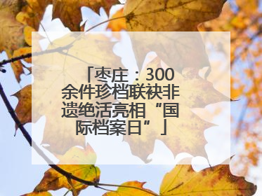 枣庄：300余件珍档联袂非遗绝活亮相“国际档案日”
