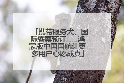 携带服务犬、国际客票预订……鸿蒙版中国国航让更多用户心愿成真