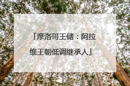 摩洛哥王储：阿拉维王朝低调继承人