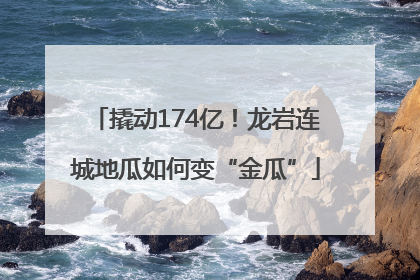 撬动174亿！龙岩连城地瓜如何变“金瓜”