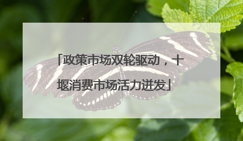 政策市场双轮驱动，十堰消费市场活力迸发