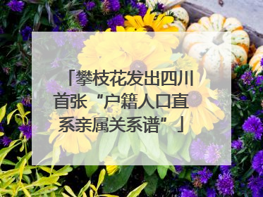 攀枝花发出四川首张“户籍人口直系亲属关系谱”