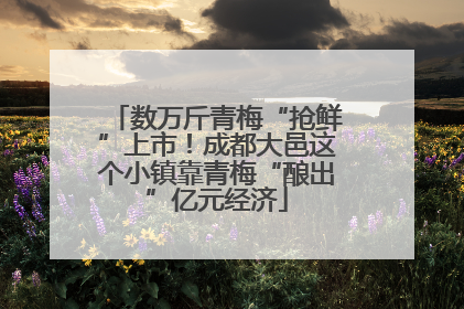 数万斤青梅“抢鲜”上市！成都大邑这个小镇靠青梅“酿出”亿元经济