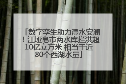 数字孪生助力澧水安澜！江垭皂市两水库拦洪超10亿立方米 相当于近80个西湖水量