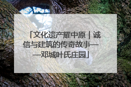 文化遗产耀中原｜诚信与建筑的传奇故事——邓城叶氏庄园