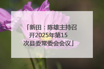 新田：陈雄主持召开2025年第15次县委常委会会议