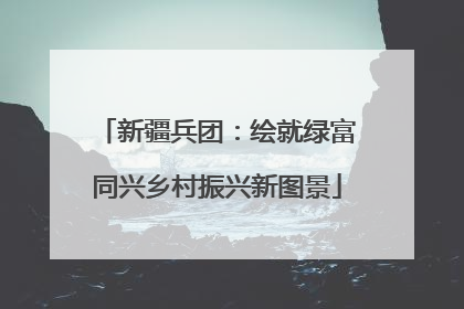新疆兵团：绘就绿富同兴乡村振兴新图景