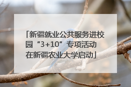 新疆就业公共服务进校园“3+10”专项活动在新疆农业大学启动
