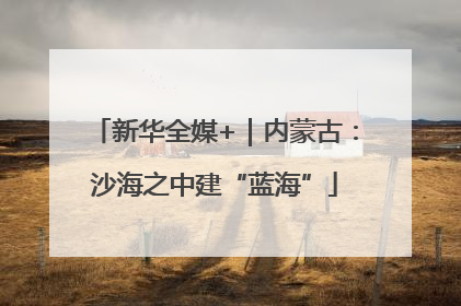 新华全媒+｜内蒙古：沙海之中建“蓝海”