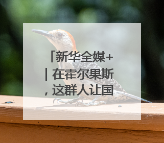 新华全媒+｜在霍尔果斯，这群人让国产新能源汽车“跑”向中亚